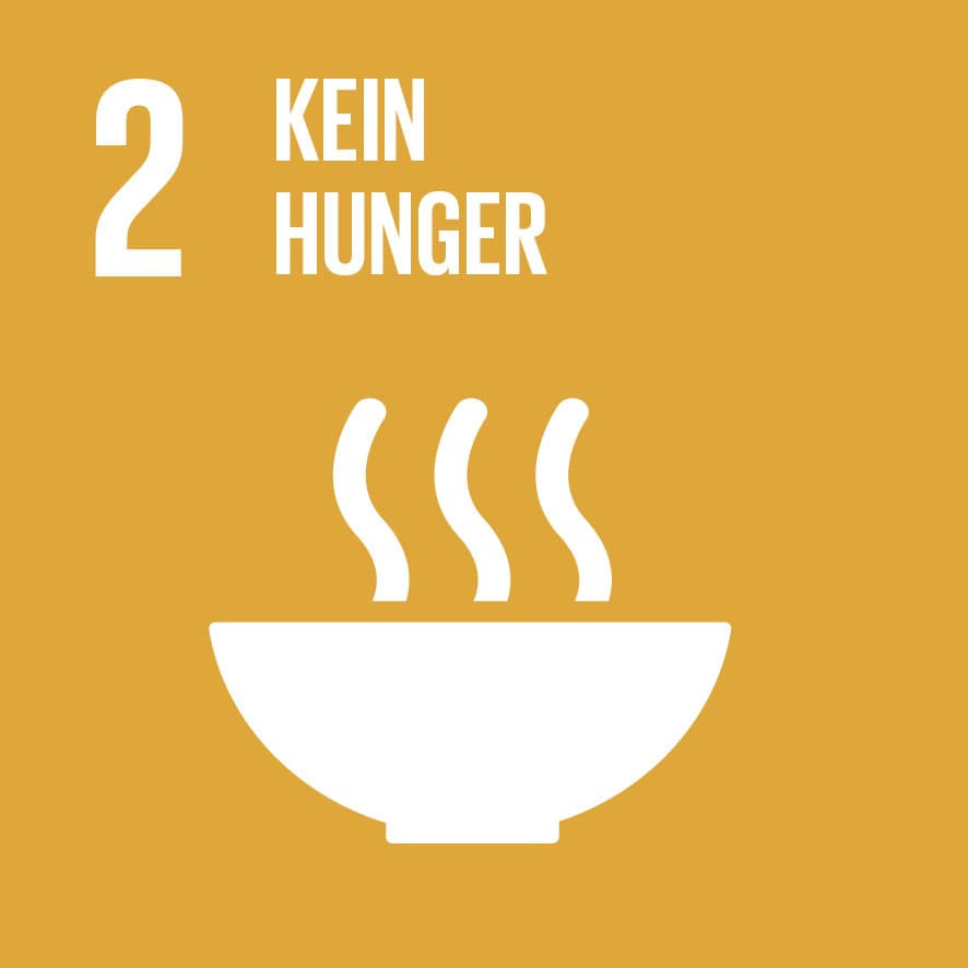 Dieses Bild zeigt das sustainable development goal "Kein Hunger".