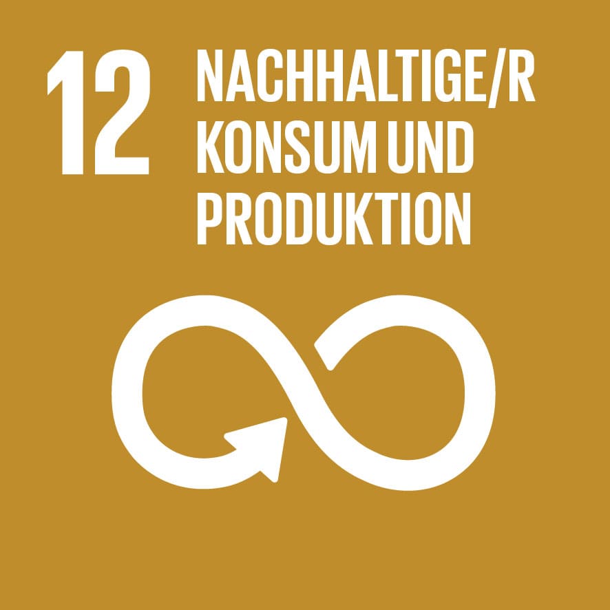 Dieses Bild zeigt das sustainable development goal "Nachhaltiger/r Konsum und Produktion".