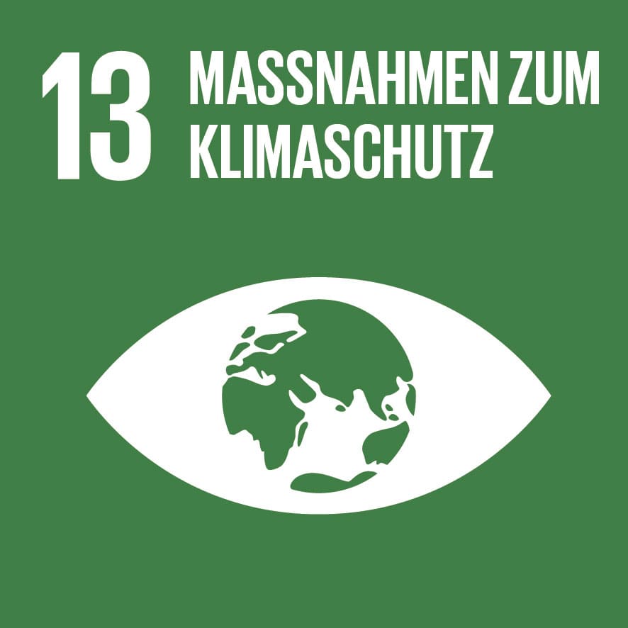 Dieses Bild zeigt das sustainable development goal "Maßnahmen zum Klimaschutz".