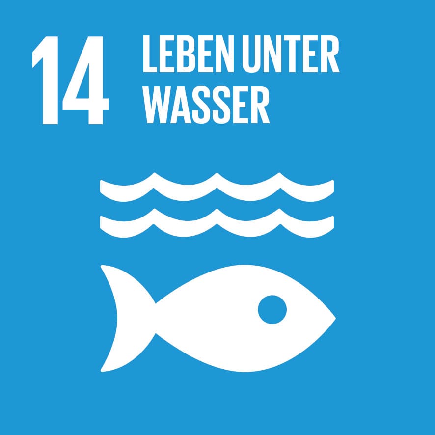 Dieses Bild zeigt das sustainable development goal "Leben unter Wasser".