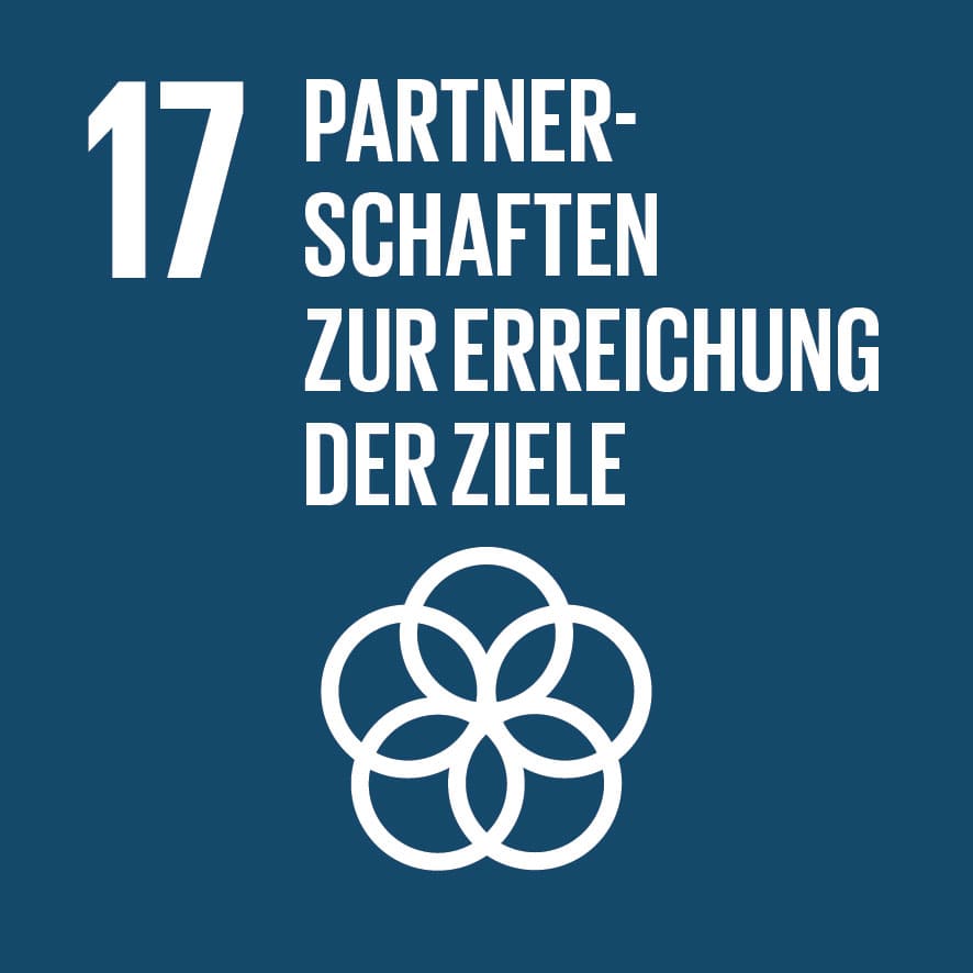Dieses Bild zeigt das sustainable development goal "Partnerschaften zur Erreichung der Ziele".